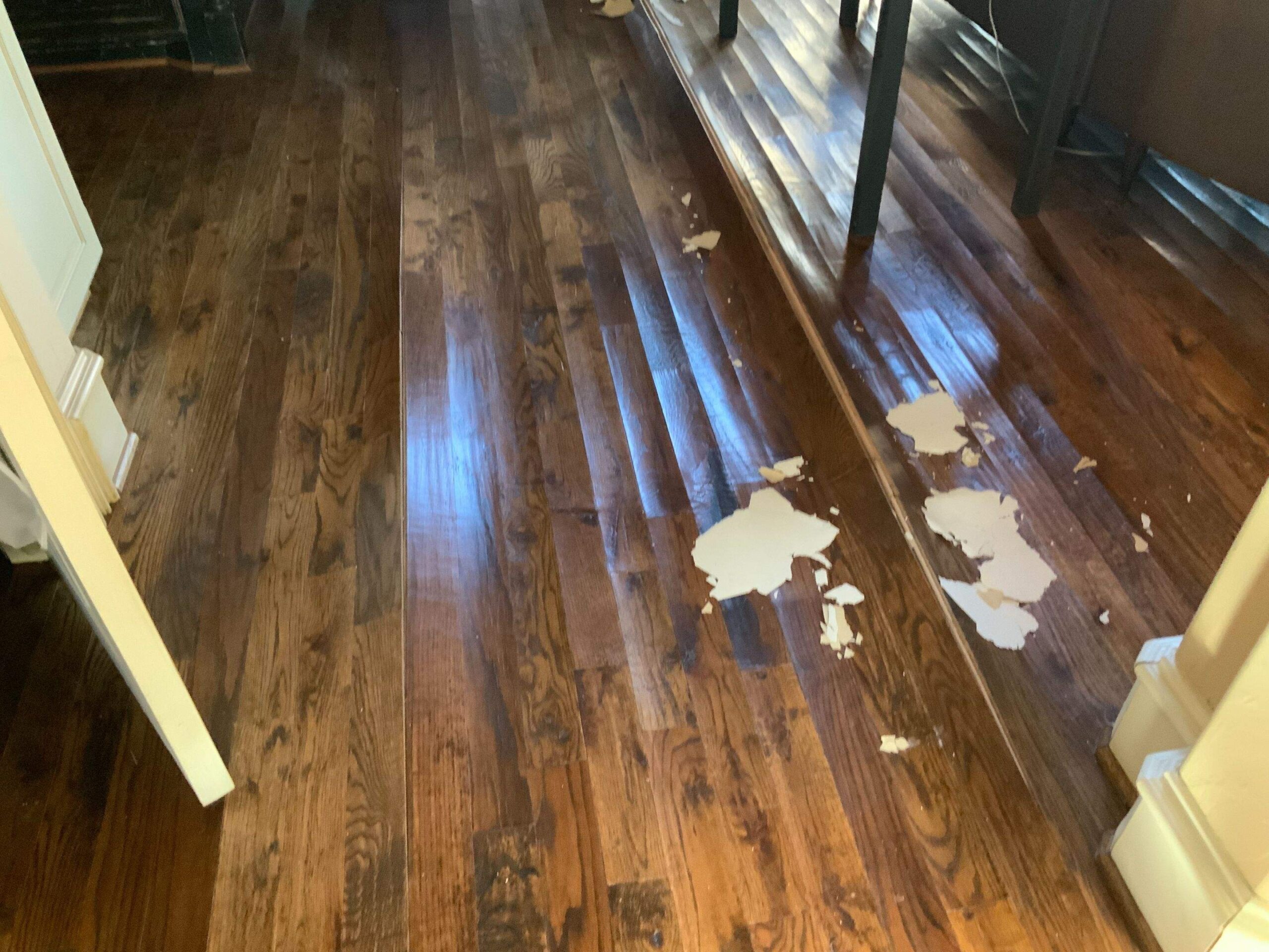 Water Damage project documentation in Dallas, TX