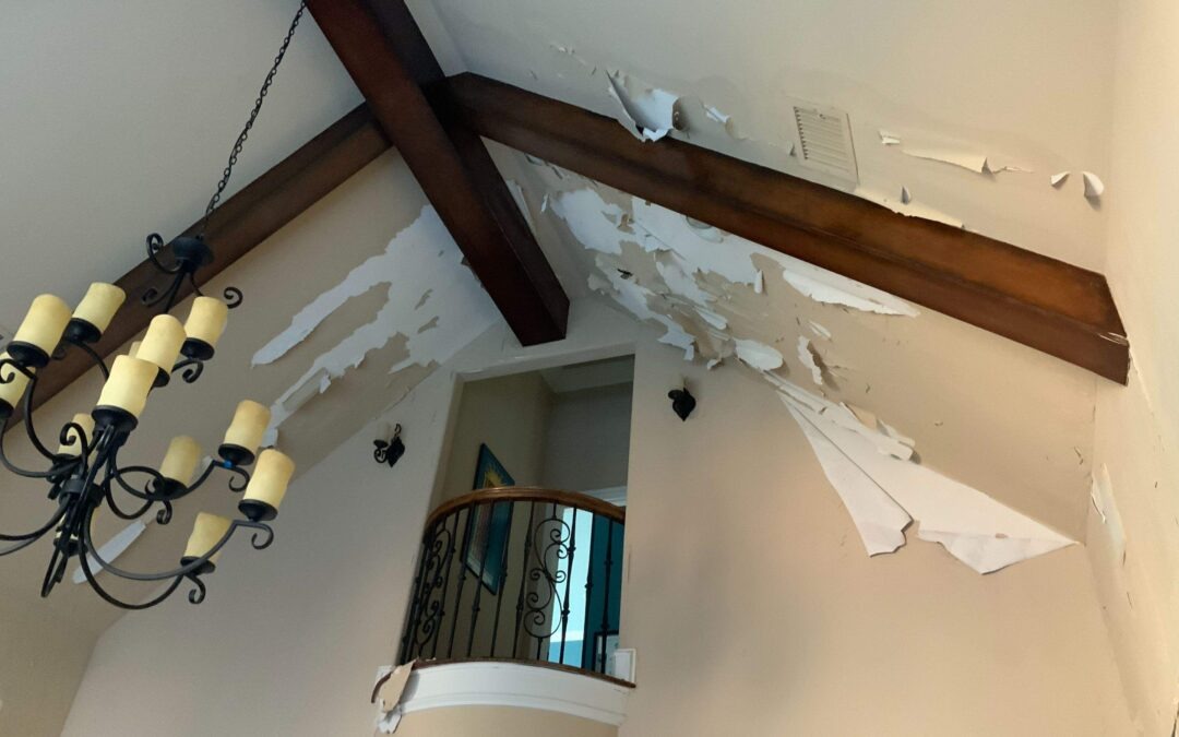 Roof and Plumbing Leak Water Damage Remediation in a Dallas Home
