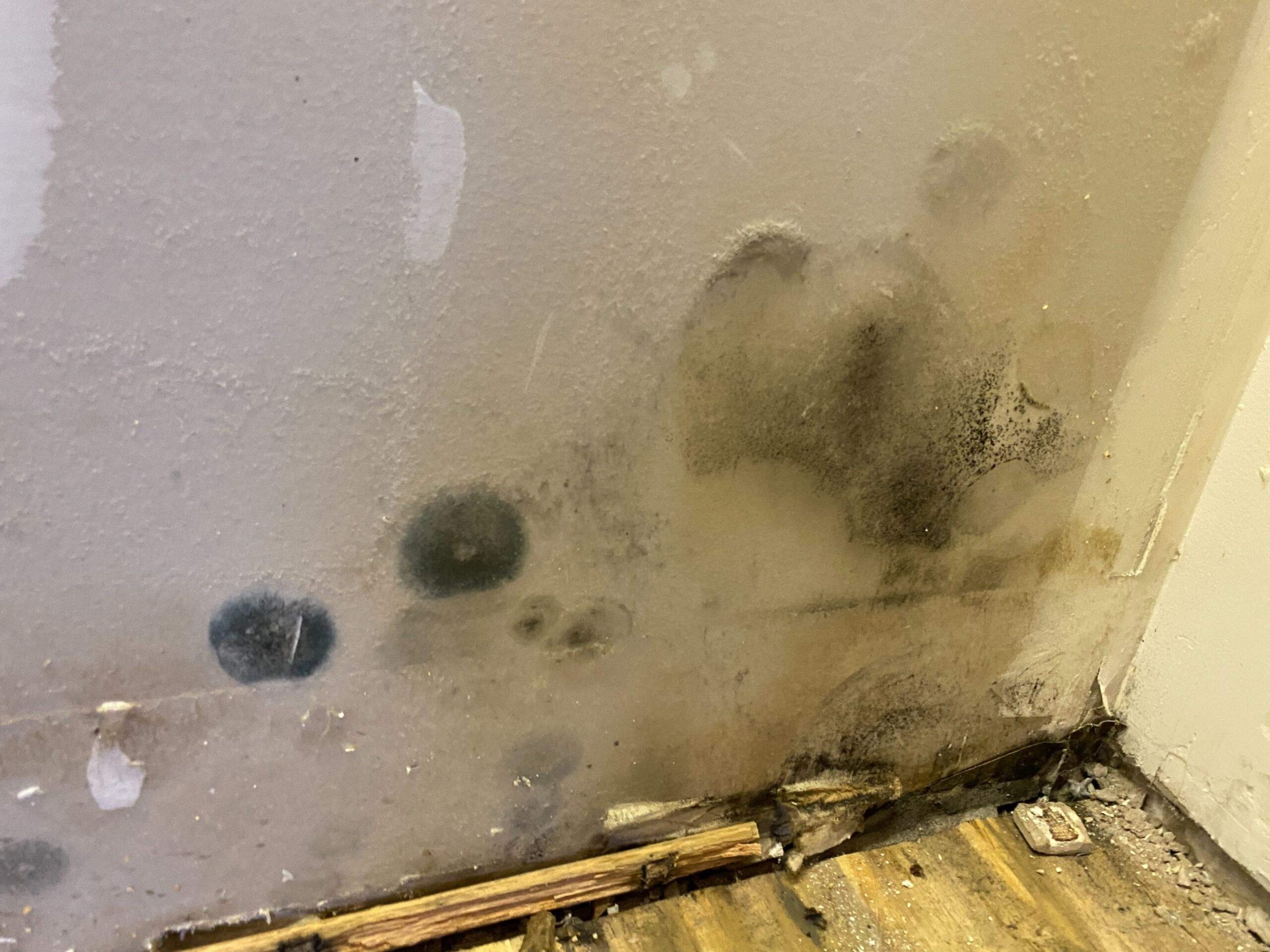 Water Damage project documentation in Dallas, TX