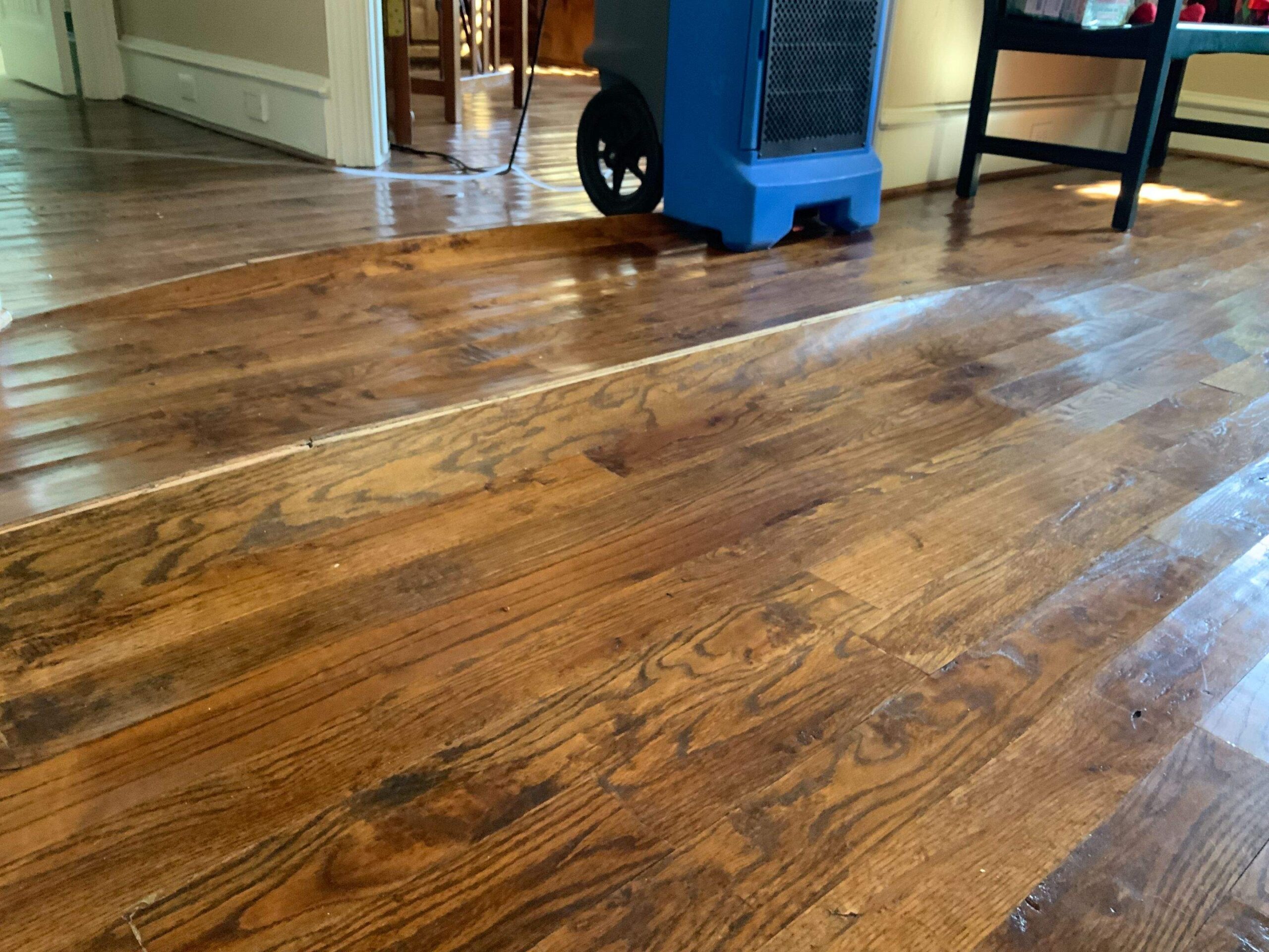 Water Damage project documentation in Dallas, TX