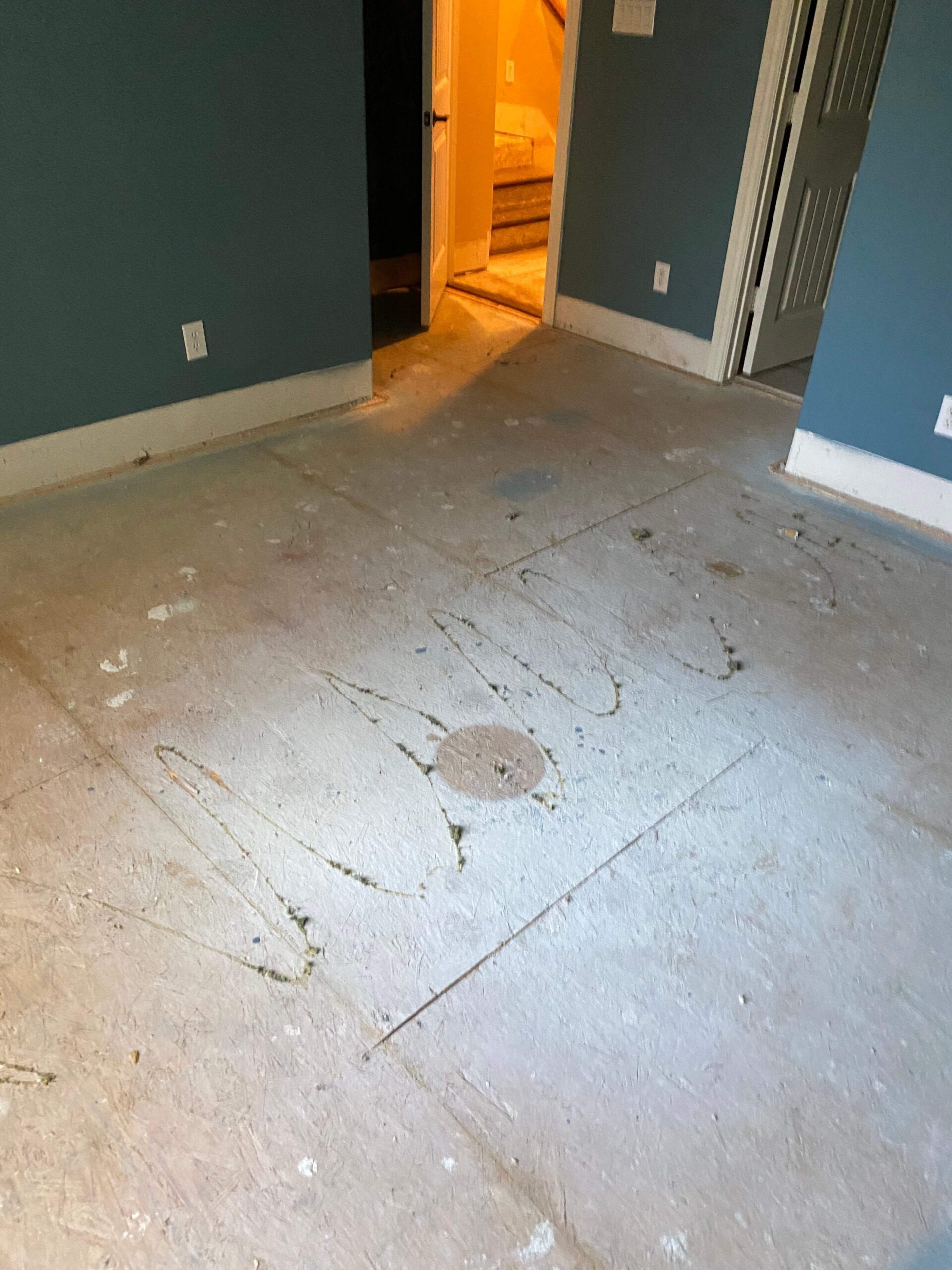 Water Damage project documentation in Dallas, TX