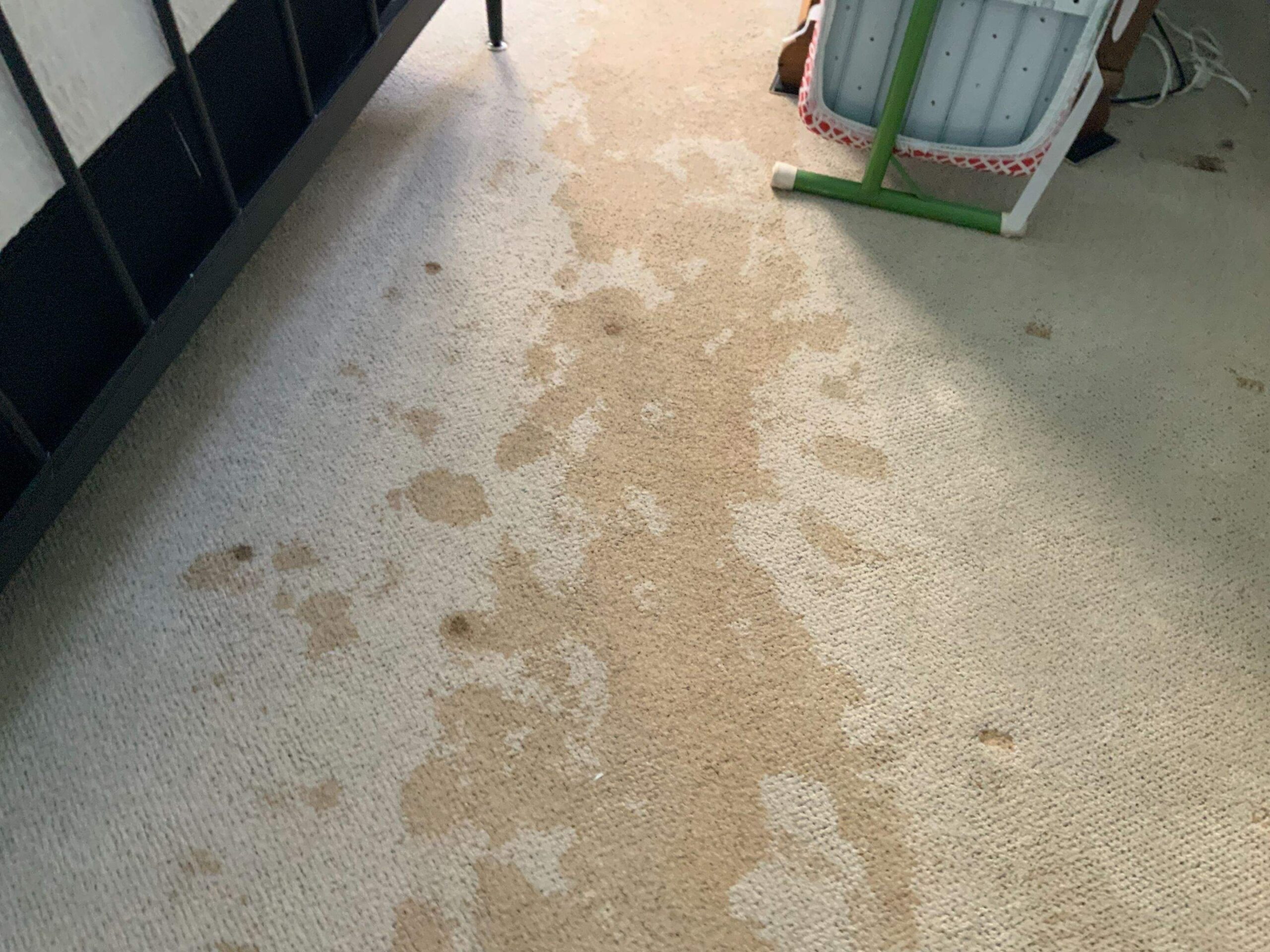 Water Damage project documentation in Dallas, TX