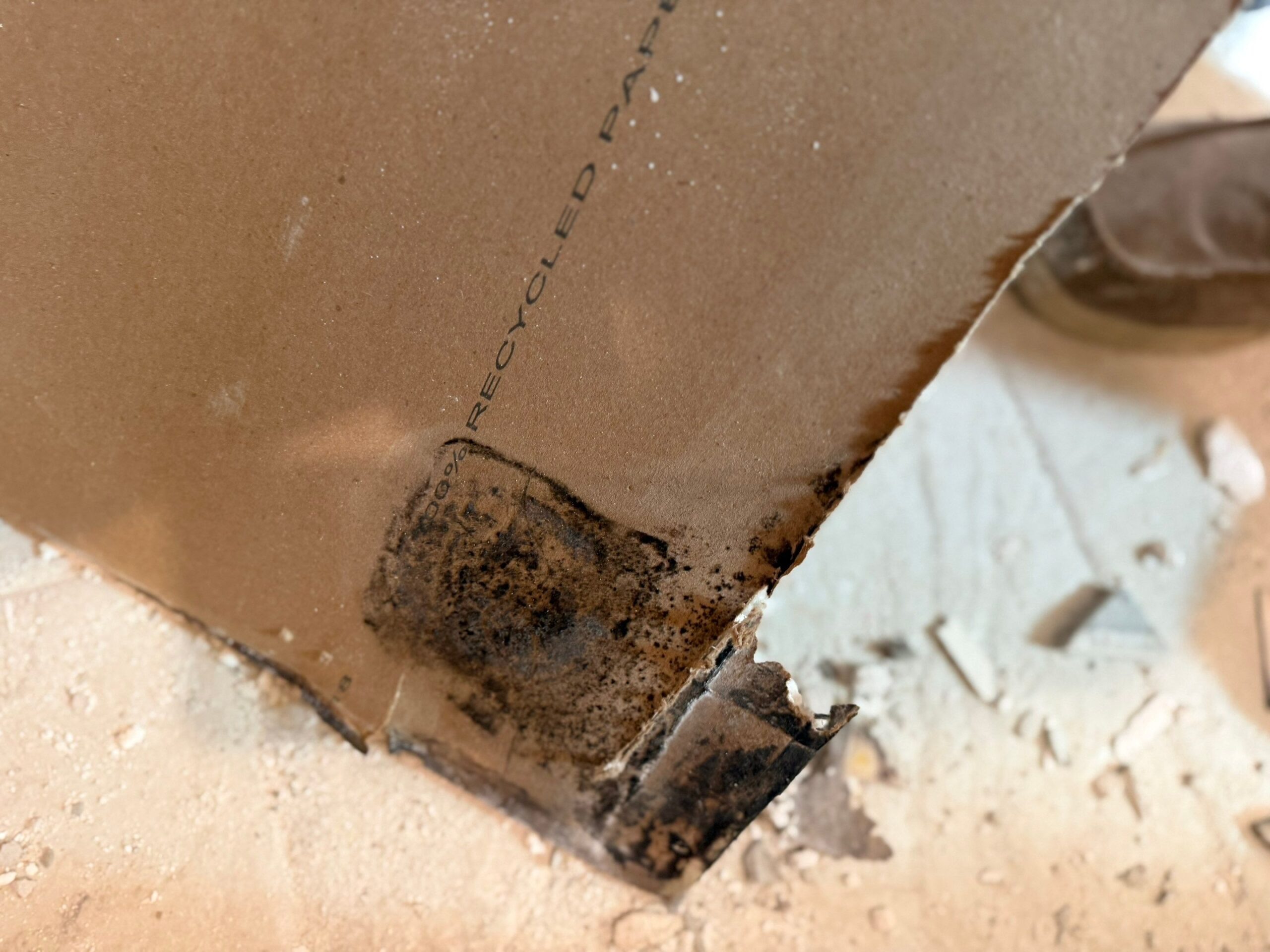 Containment barrier set up before treatment during mold remediation in McKinney, TX