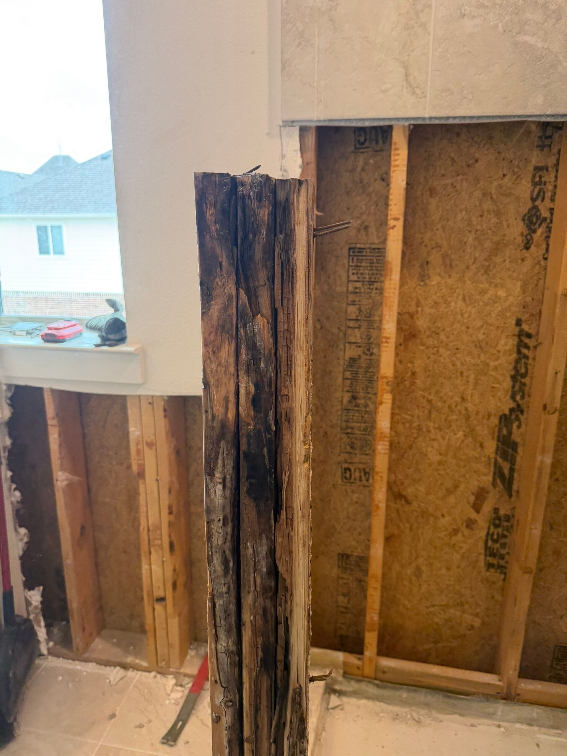 Crew treating exposed framing during the mold remediation in McKinney, TX