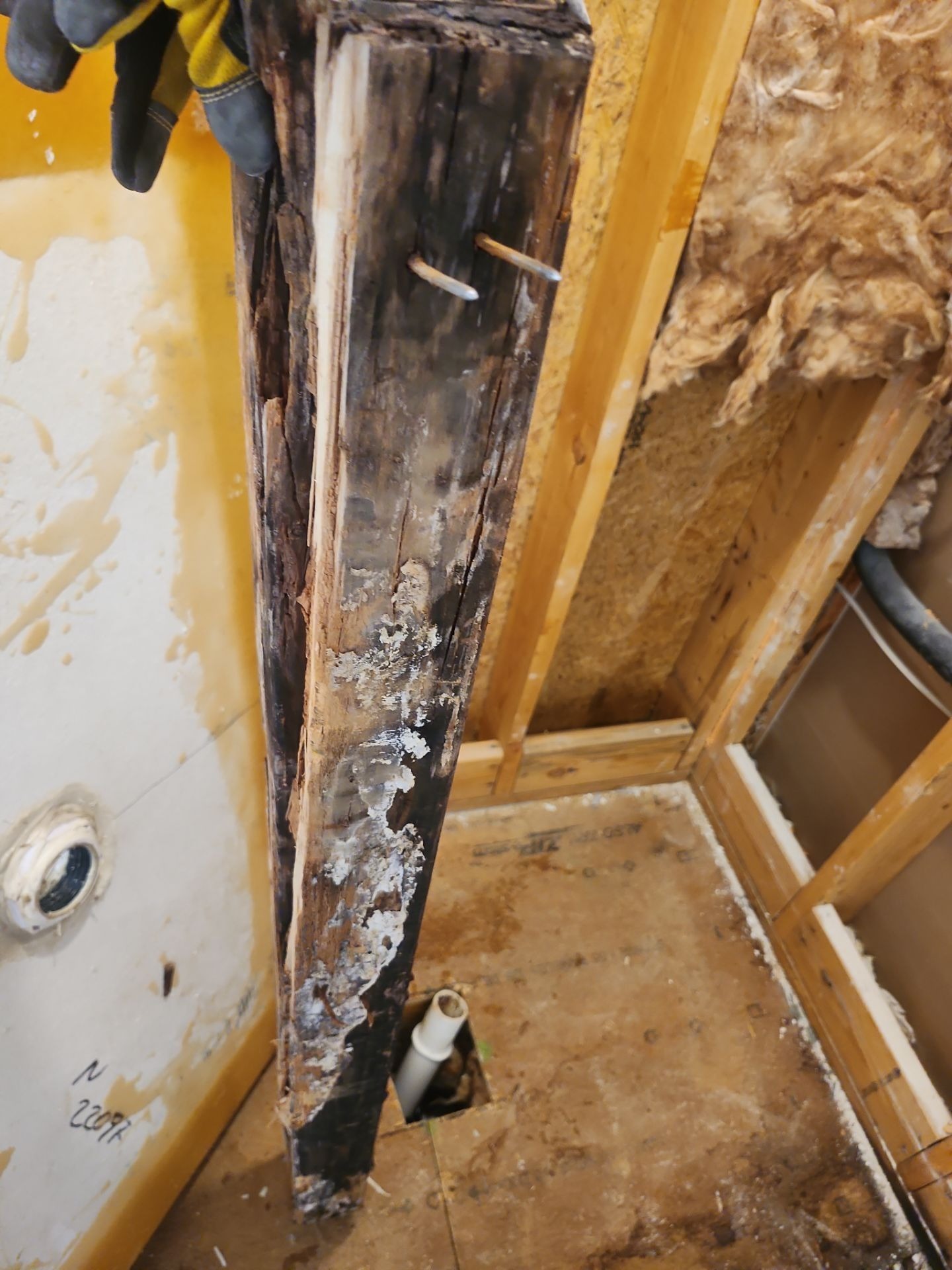 Finished framing area after completed mold remediation in McKinney, TX