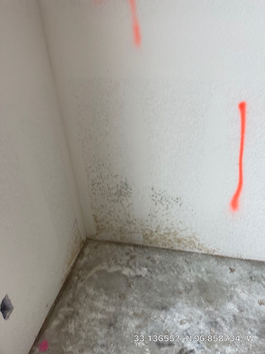 Mold project documentation in Frisco, TX