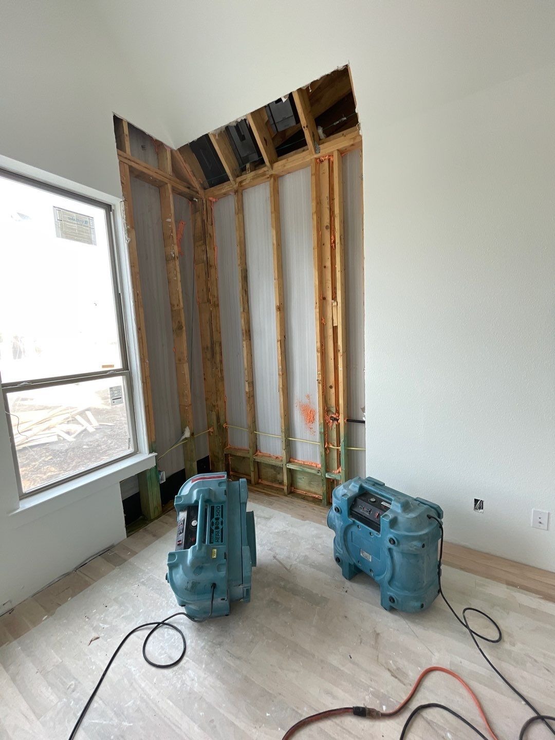 Mold project documentation in Frisco, TX