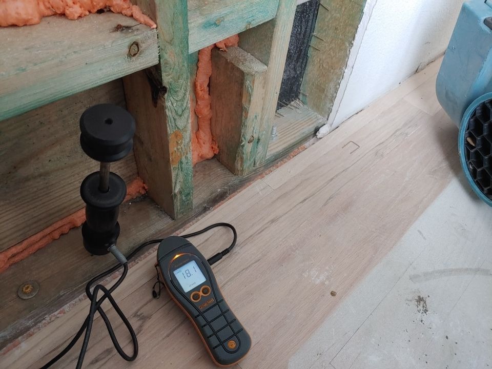 Mold project documentation in Frisco, TX
