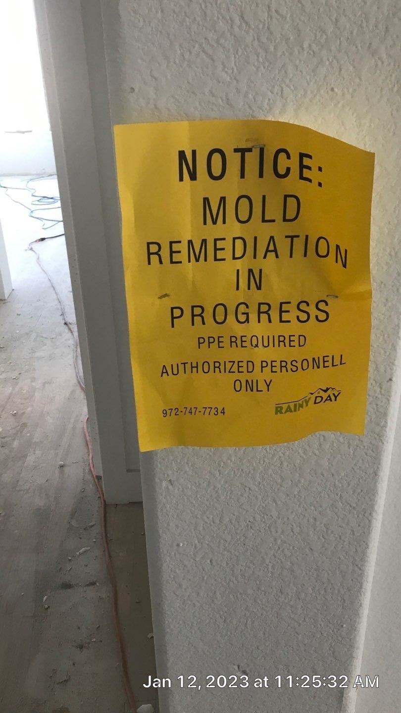 Mold project documentation in Frisco, TX