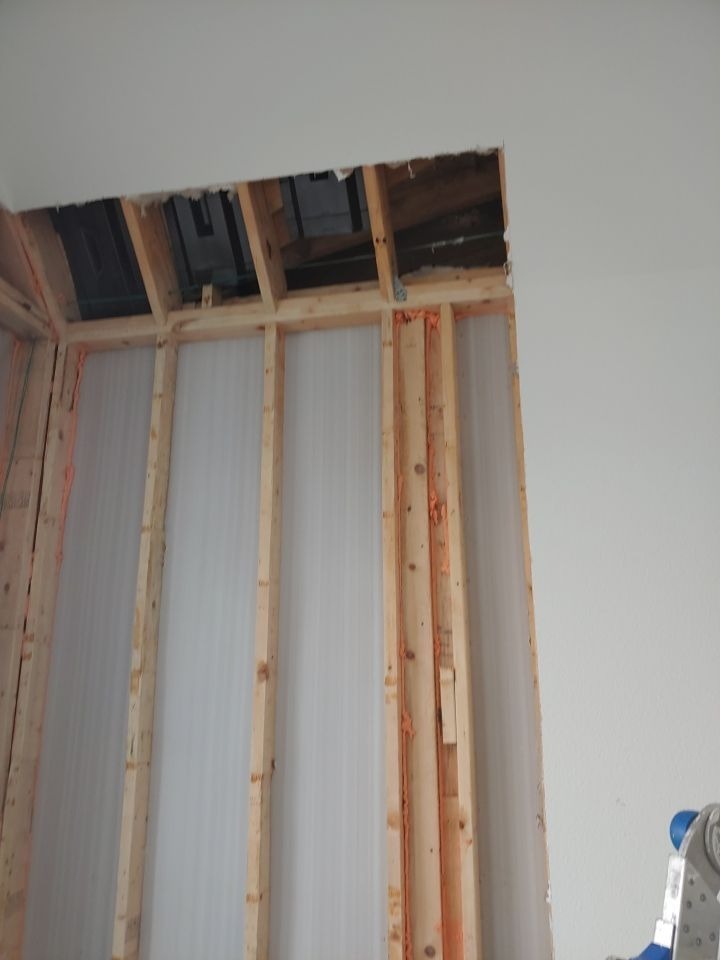 Mold project documentation in Frisco, TX