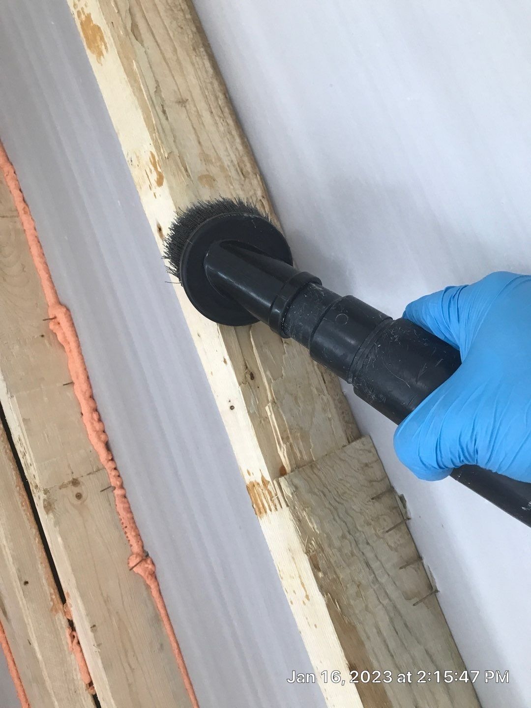 Mold project documentation in Frisco, TX