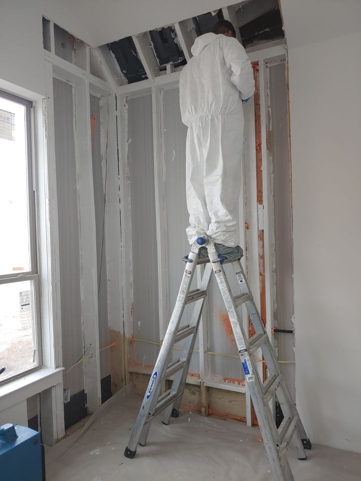 Mold project documentation in Frisco, TX
