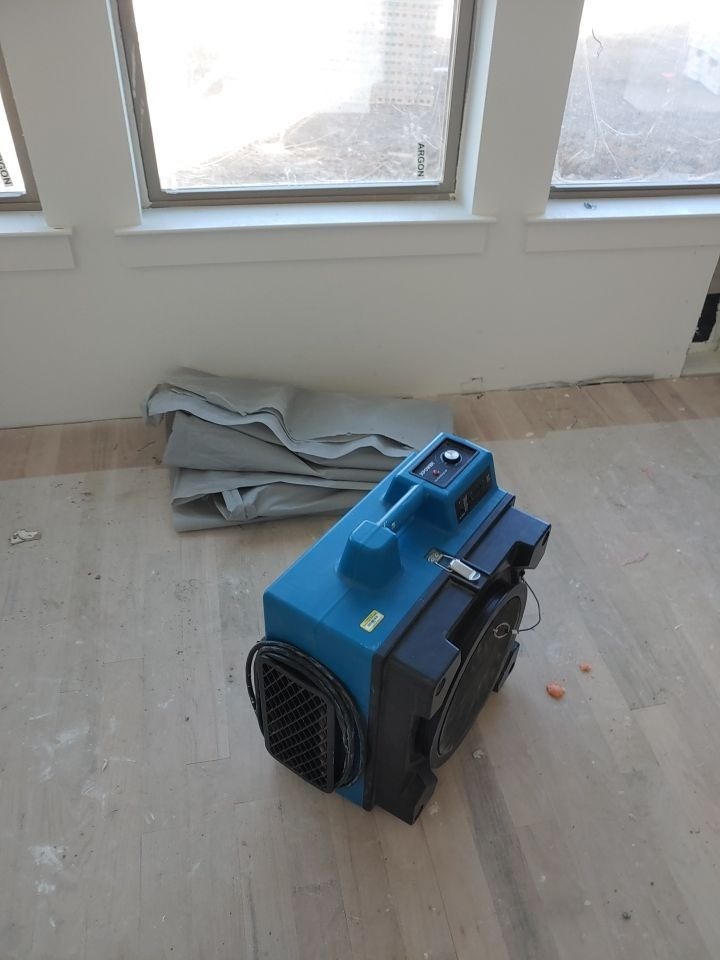 Mold project documentation in Frisco, TX