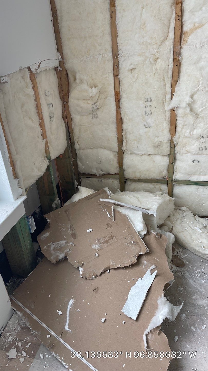 Mold project documentation in Frisco, TX
