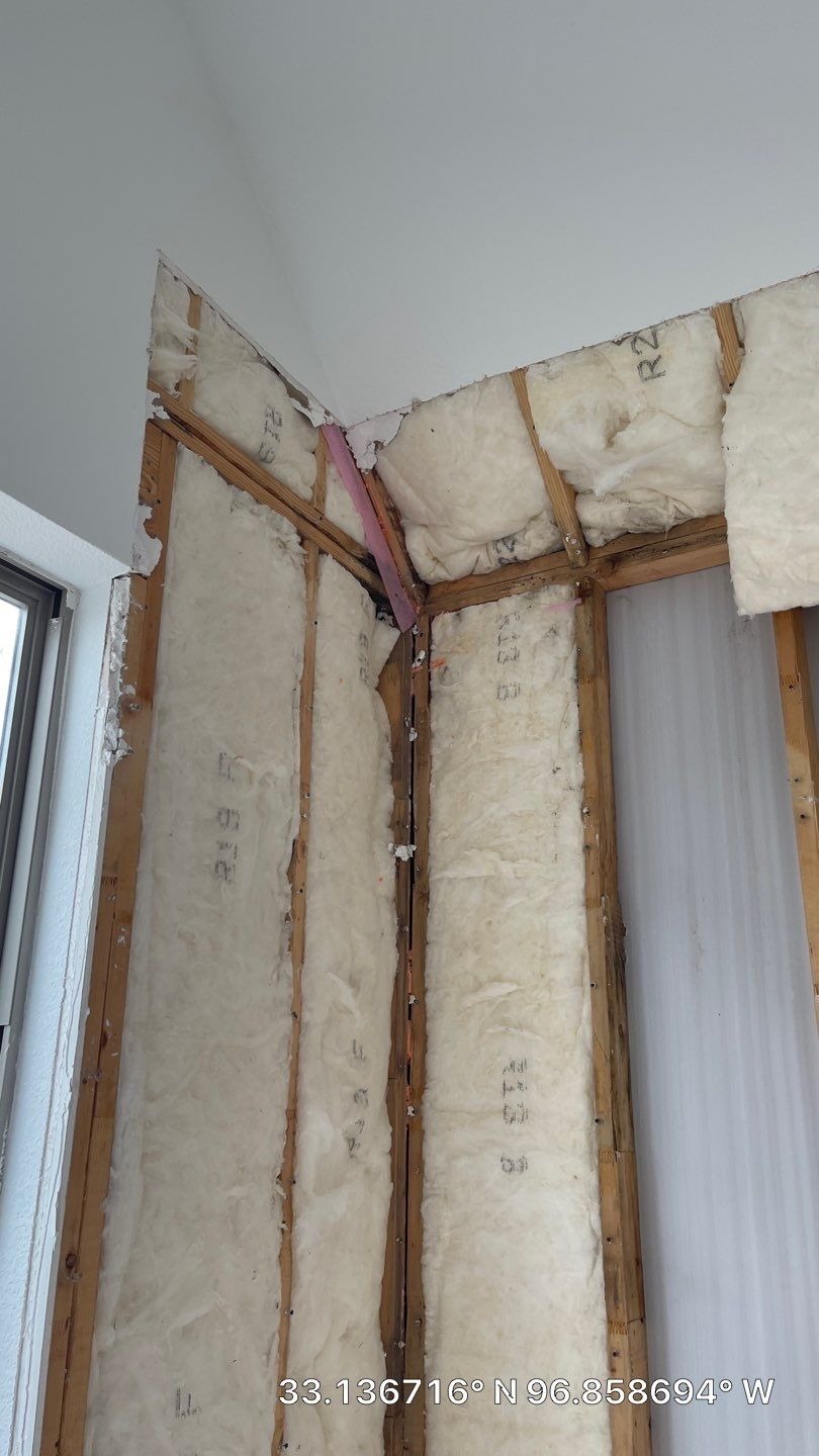 Mold project documentation in Frisco, TX