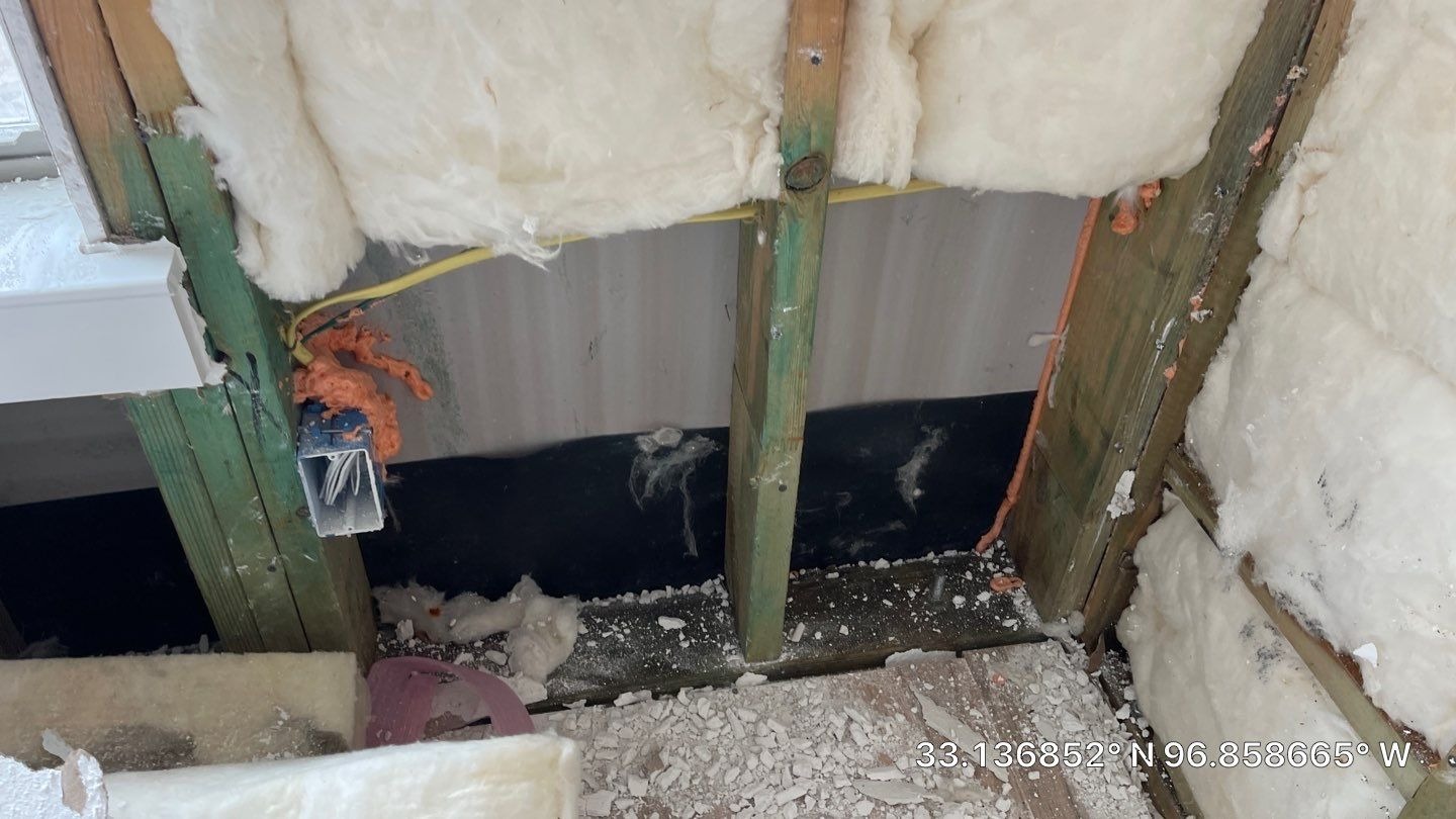 Mold project documentation in Frisco, TX