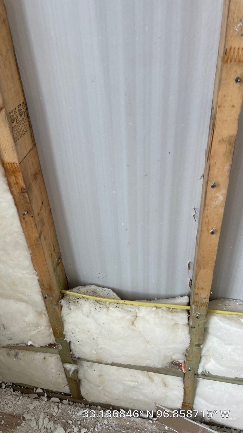 Mold project documentation in Frisco, TX