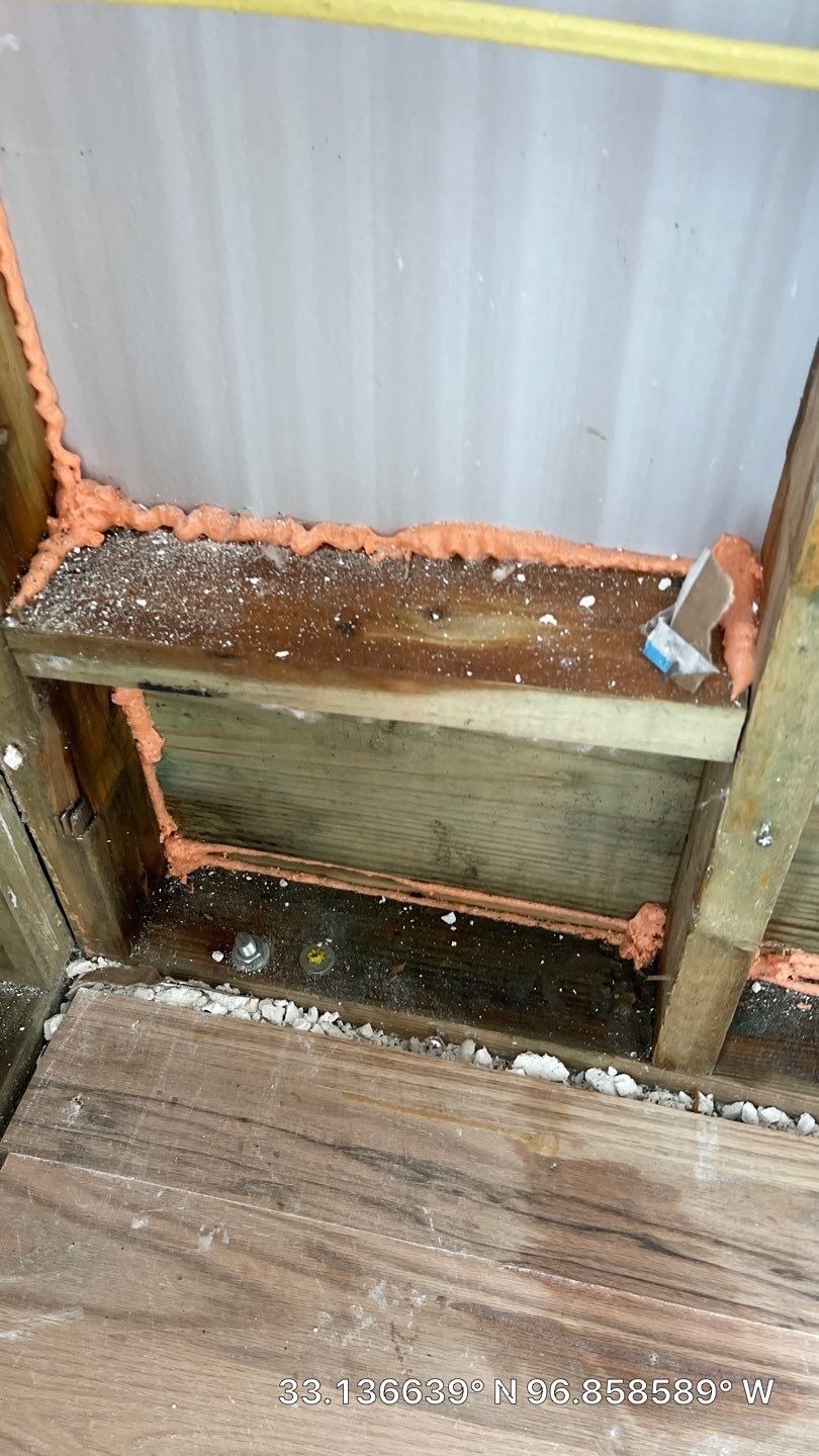Mold project documentation in Frisco, TX