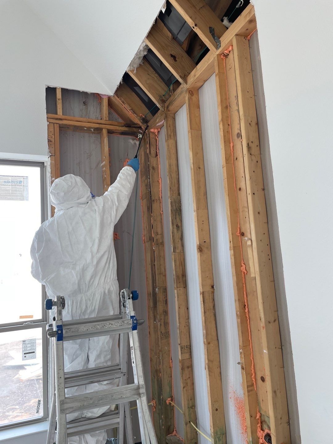 Mold project documentation in Frisco, TX