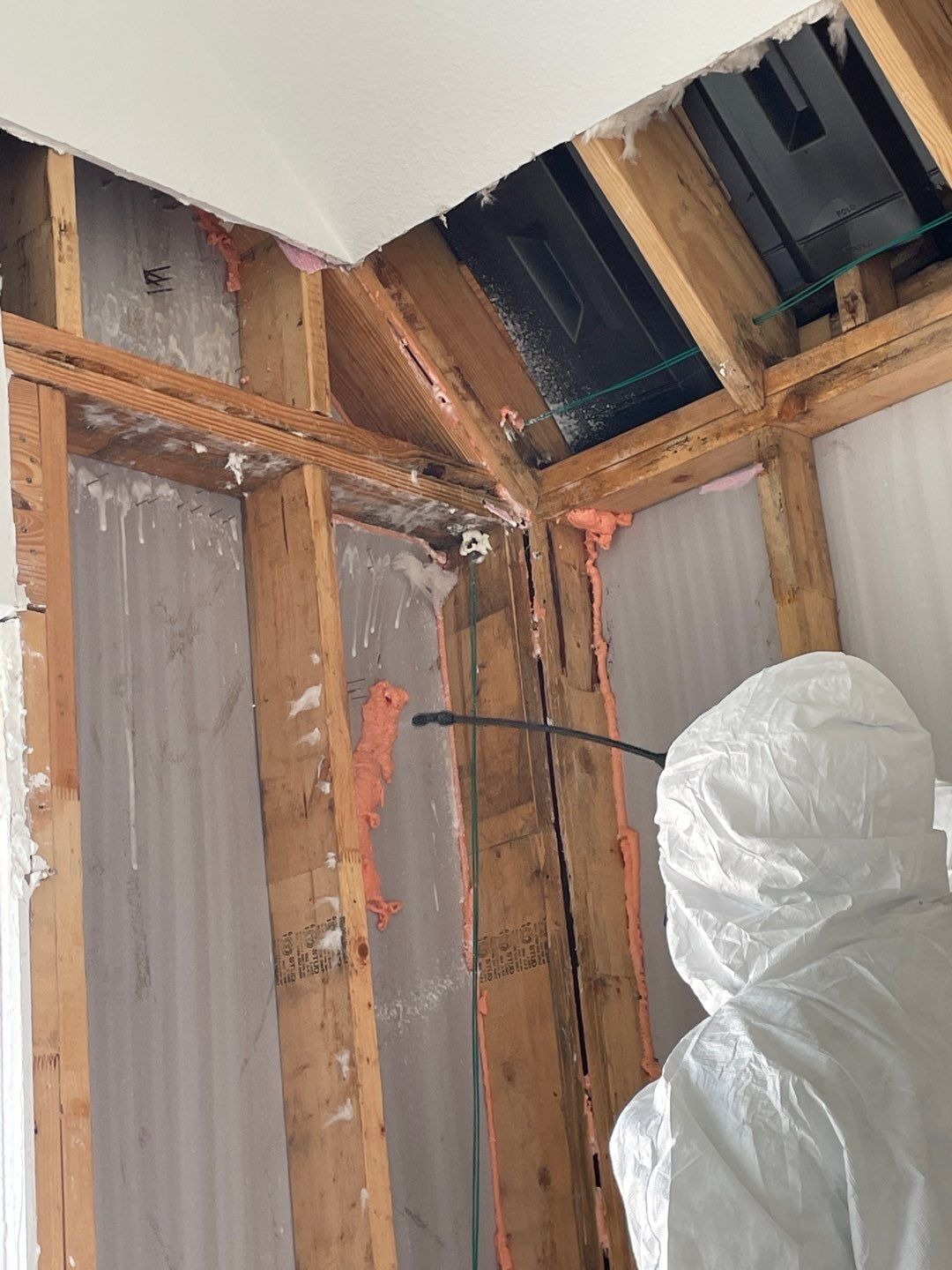 Mold project documentation in Frisco, TX