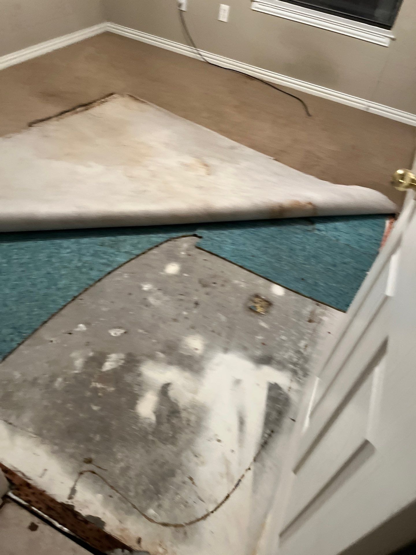 Water Damage project documentation in Oak Point, TX