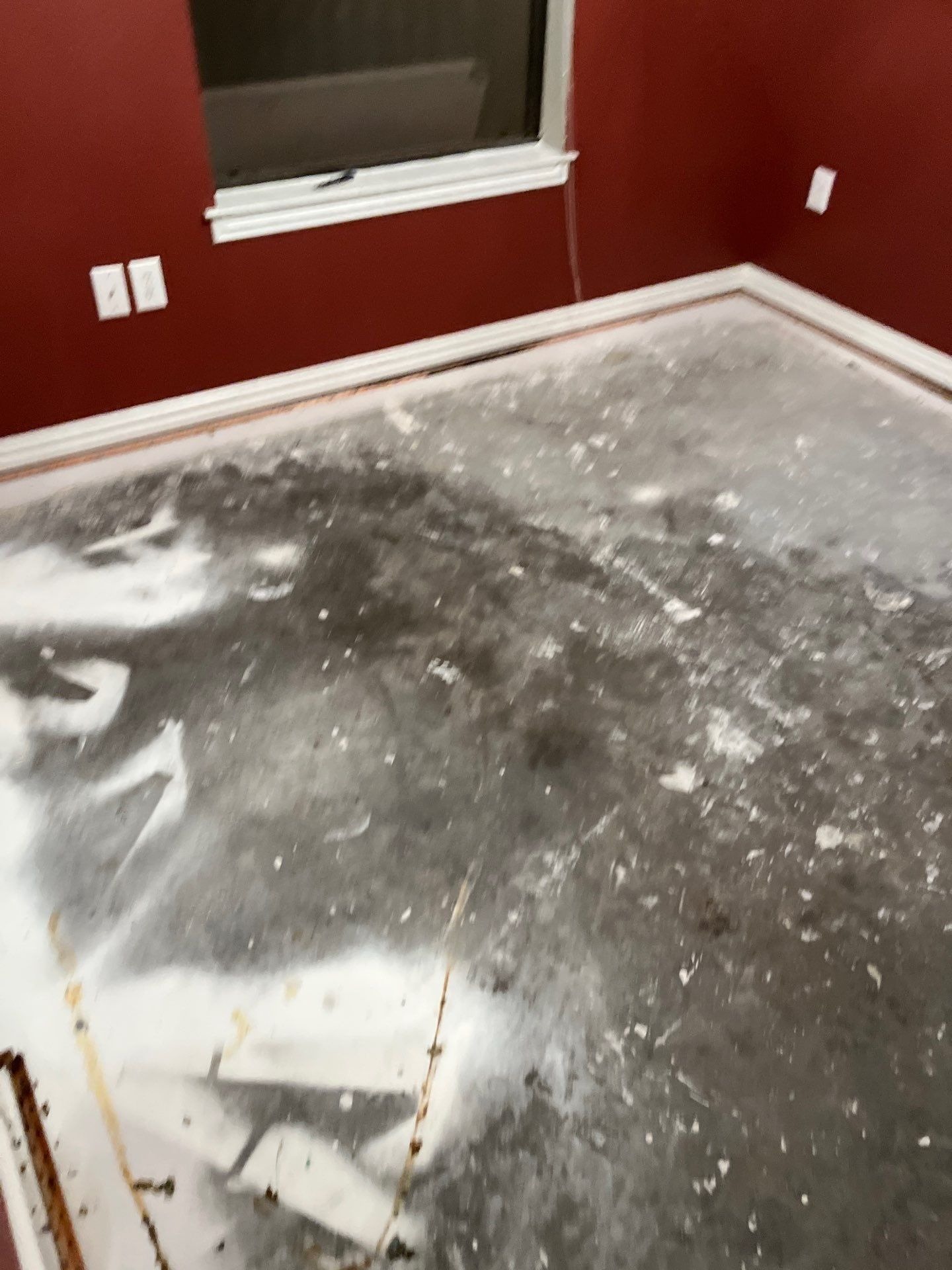 Water Damage project documentation in Oak Point, TX