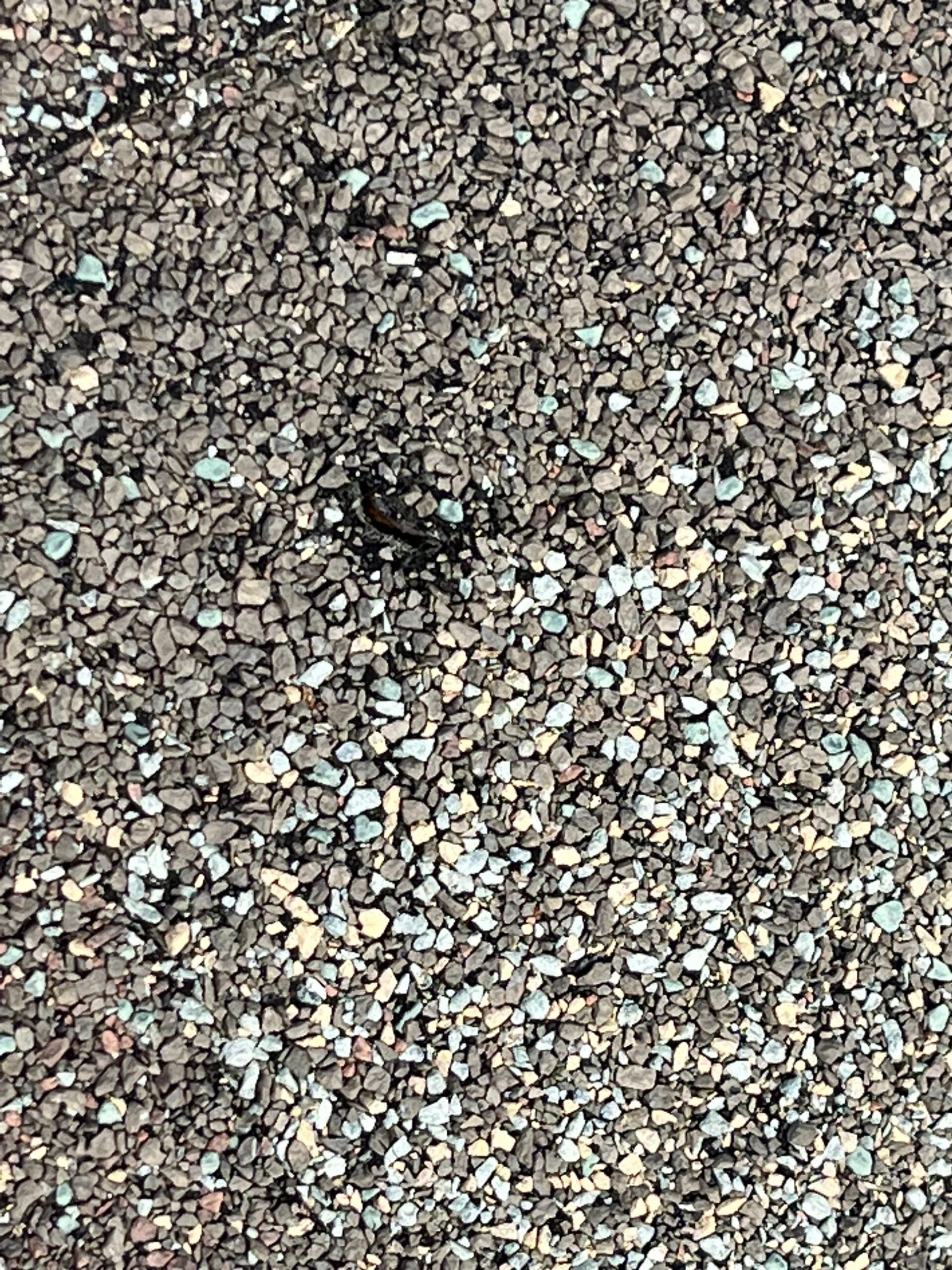 Missing shingles exposed on the roof deck before repair in Melissa, TX