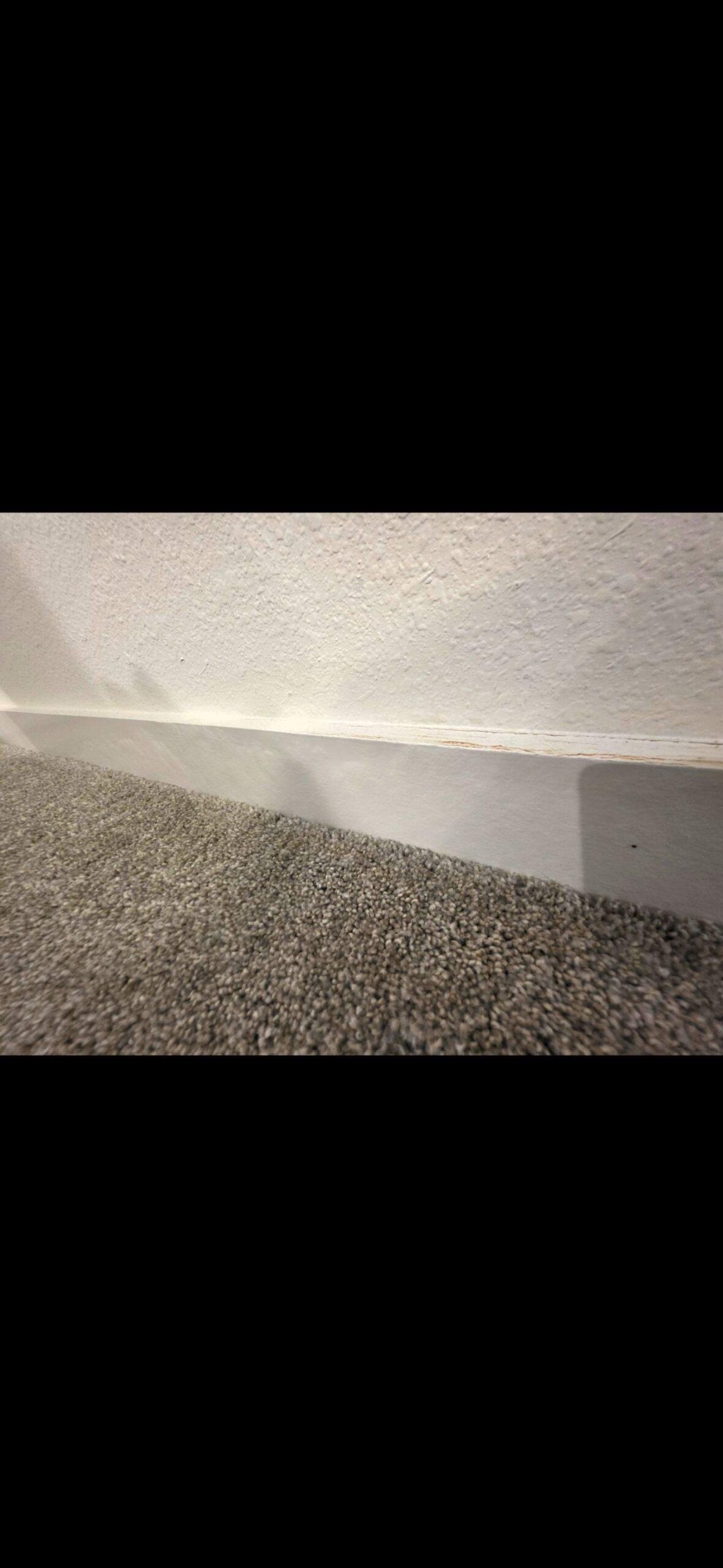 Wet baseboards along the flooring before water damage restoration in Frisco, TX