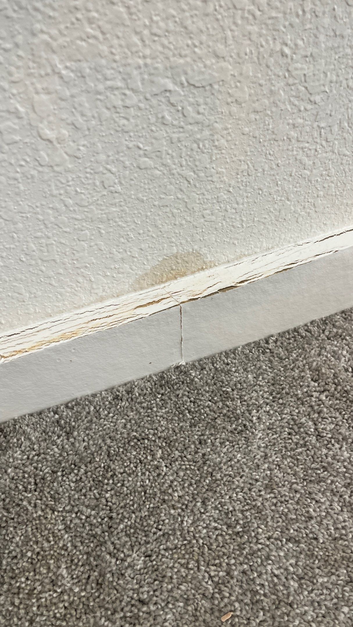 Wet drywall showing visible discoloration before the Frisco water damage restoration