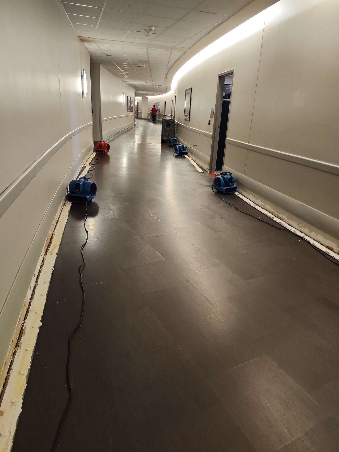 Dried structure with base cove removed after water damage restoration in Richardson, TX