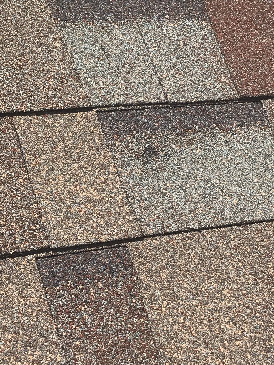 Wind-damaged shingle edges found before the roof replacement in Allen, TX