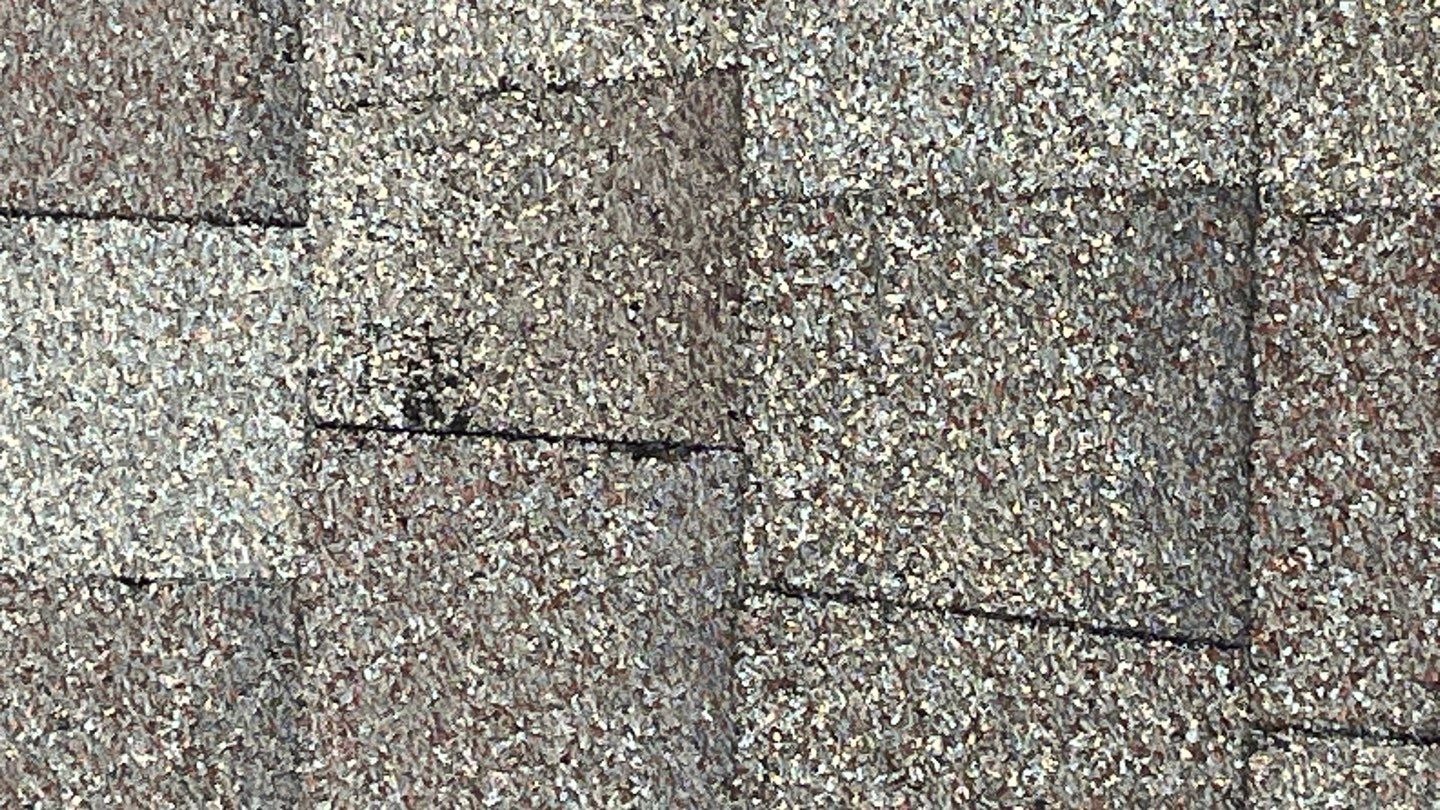 Granule loss on aging shingles documented before work began in Allen