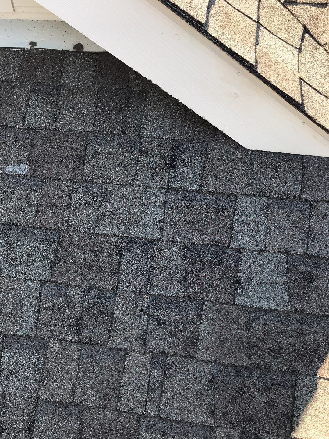 Additional shingle damage documented across the roof in Allen, TX