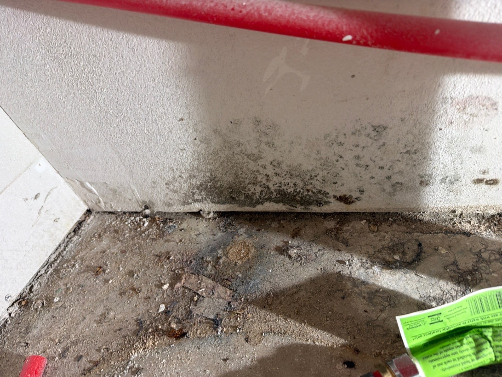 Antimicrobial treatment applied to surfaces during mold remediation in Prosper, TX