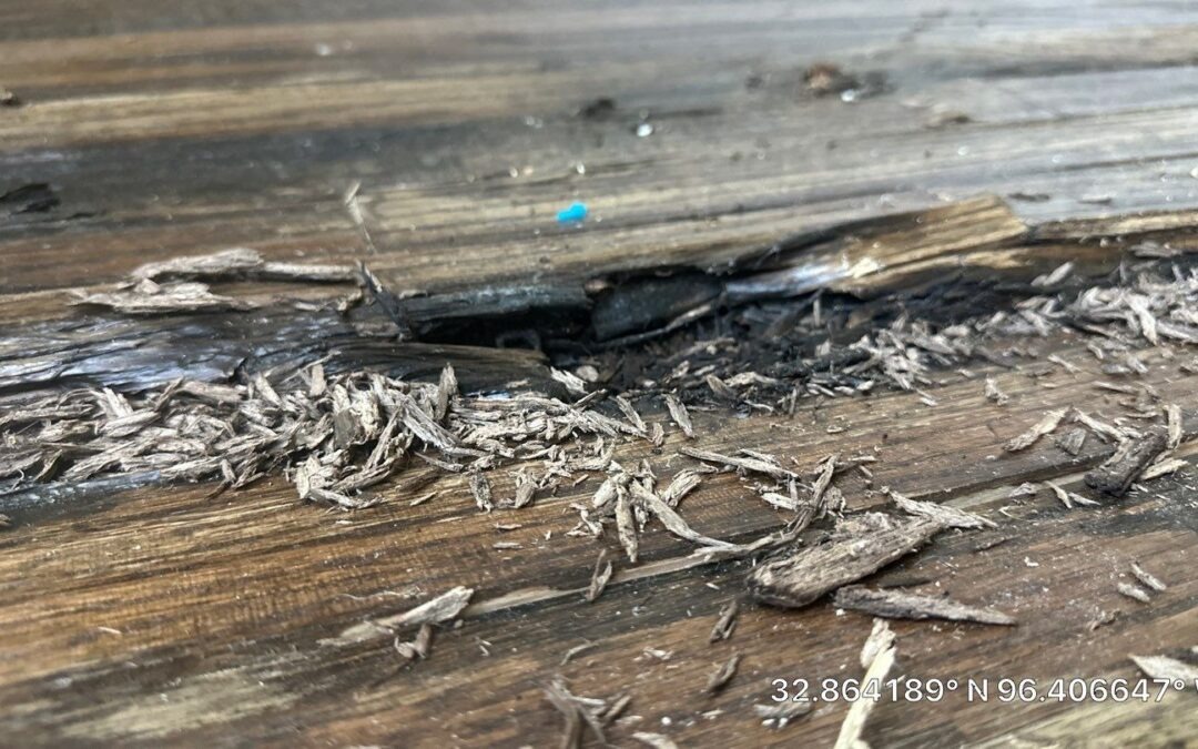 Mold Remediation in Rockwall, TX After a Vacant Home Water Loss