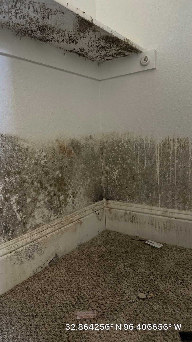 HEPA air scrubber running inside contained work area during mold remediation in Rockwall, TX