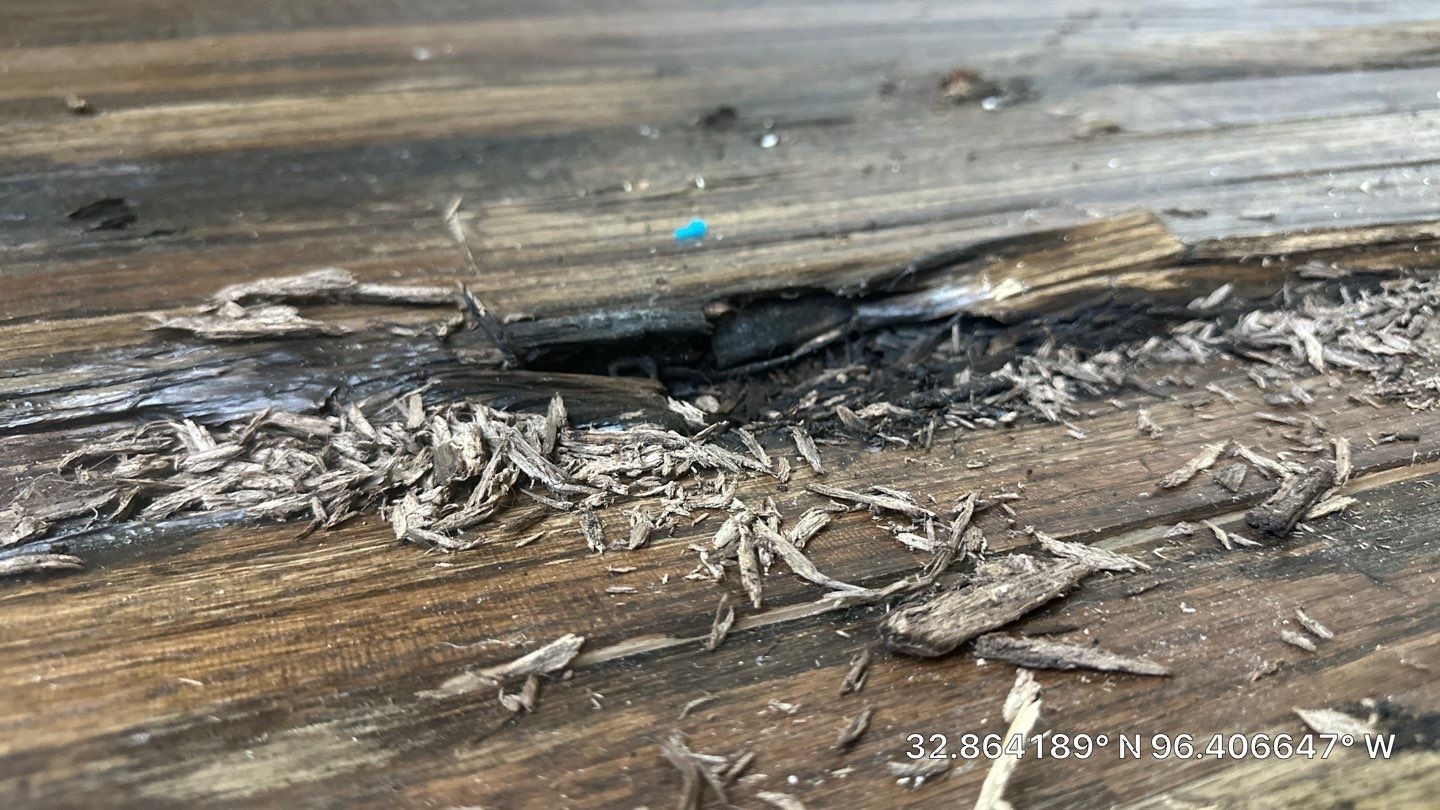 Visible mold growth on affected surfaces before mold remediation in Rockwall, TX begins
